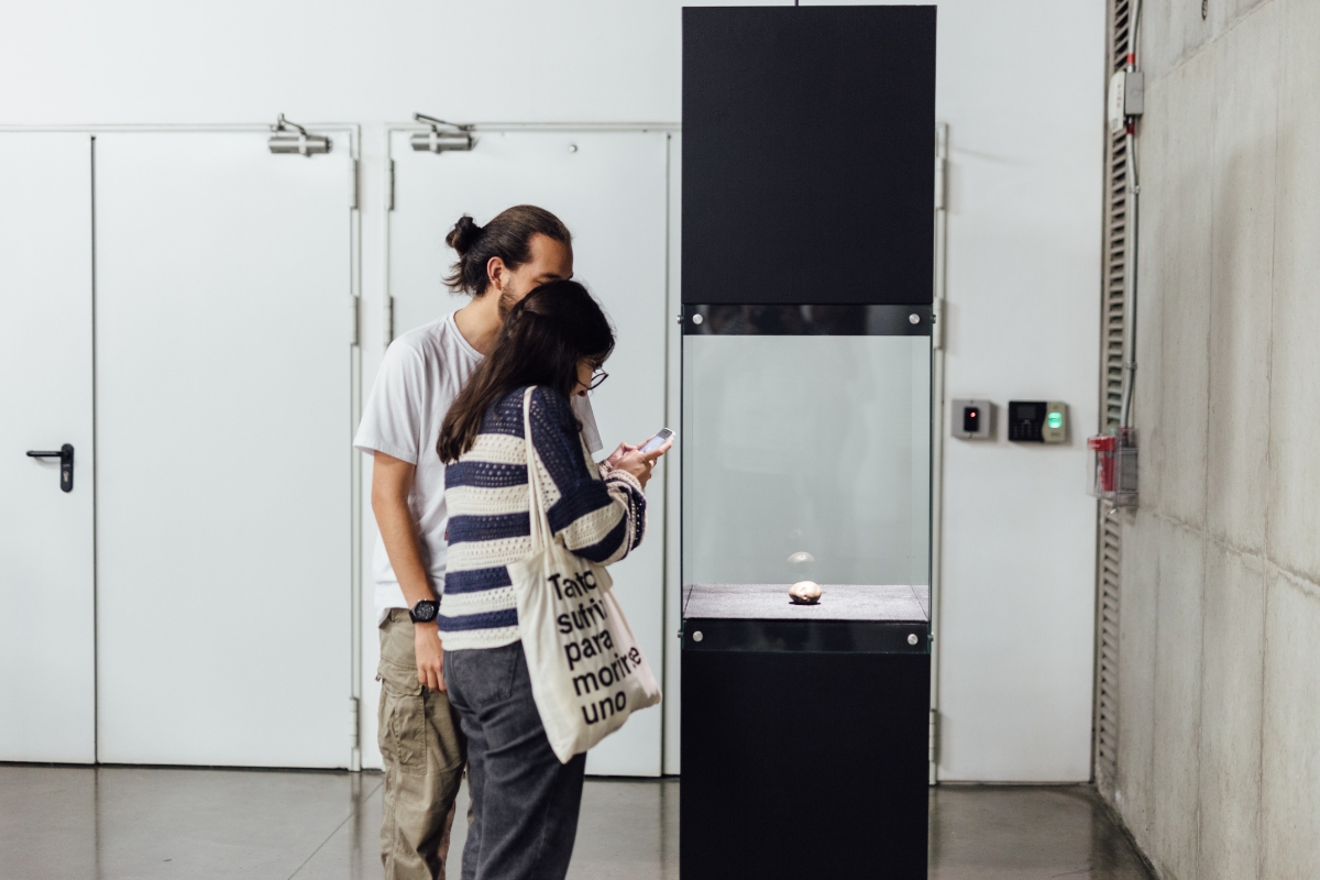 Fotografía de visitantes en la exposición Ernesto Restrepo. 1992. 30 años del Proyecto Cosecha de papas
