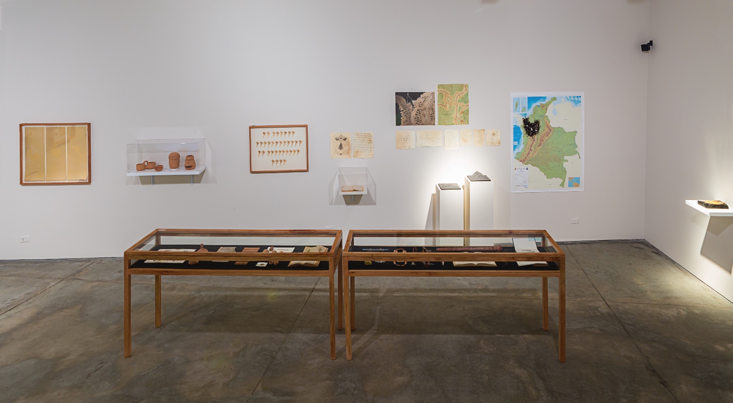 Exposición obra Brevísima relación de la construcción de las indias Jorge Marín