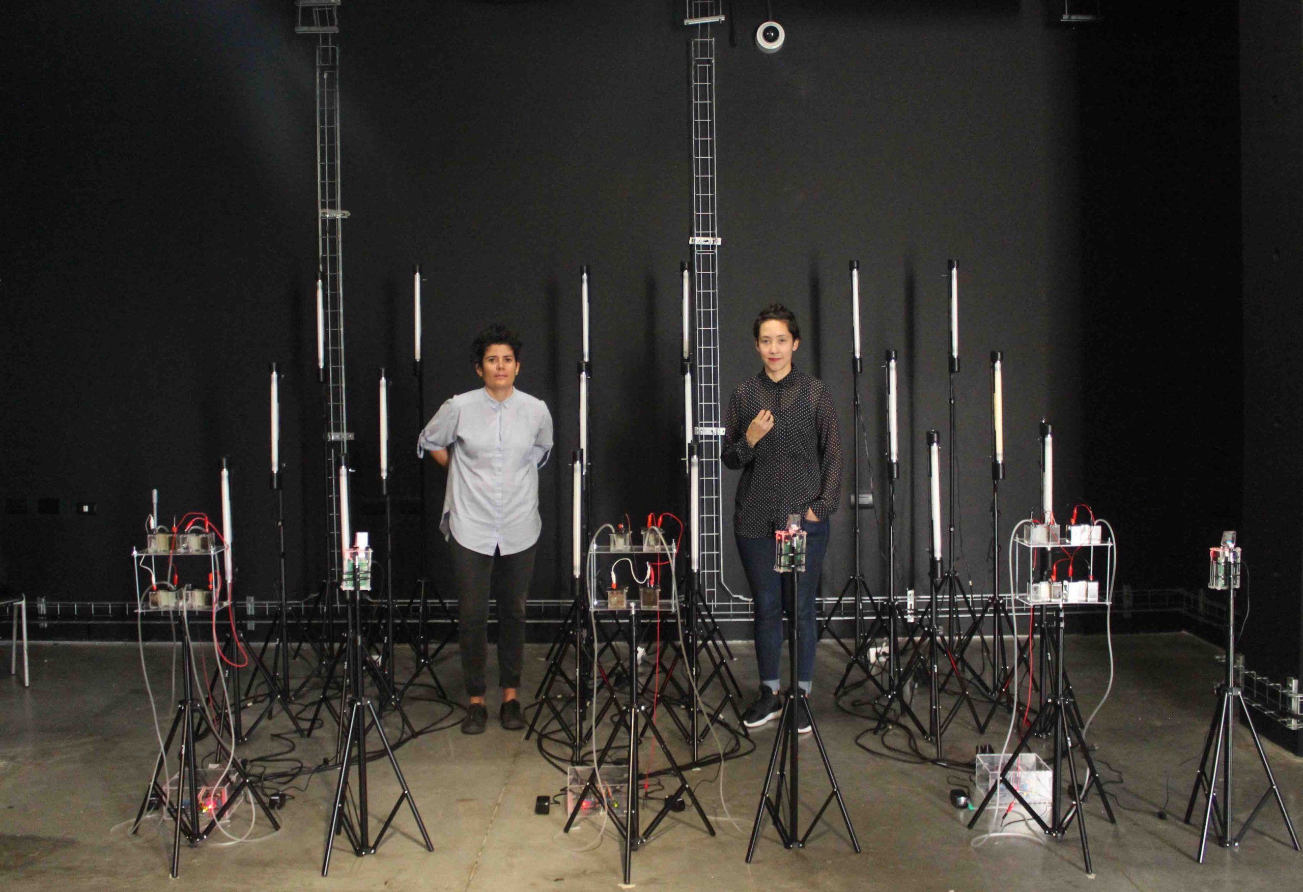 Artistas Leslie García y Paloma López (Interspecifics). Micro-ritmos