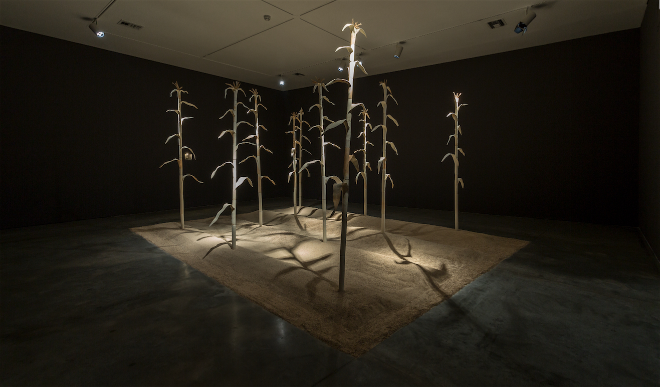 Exposición Siembra de Juan David Henao en el MAMM