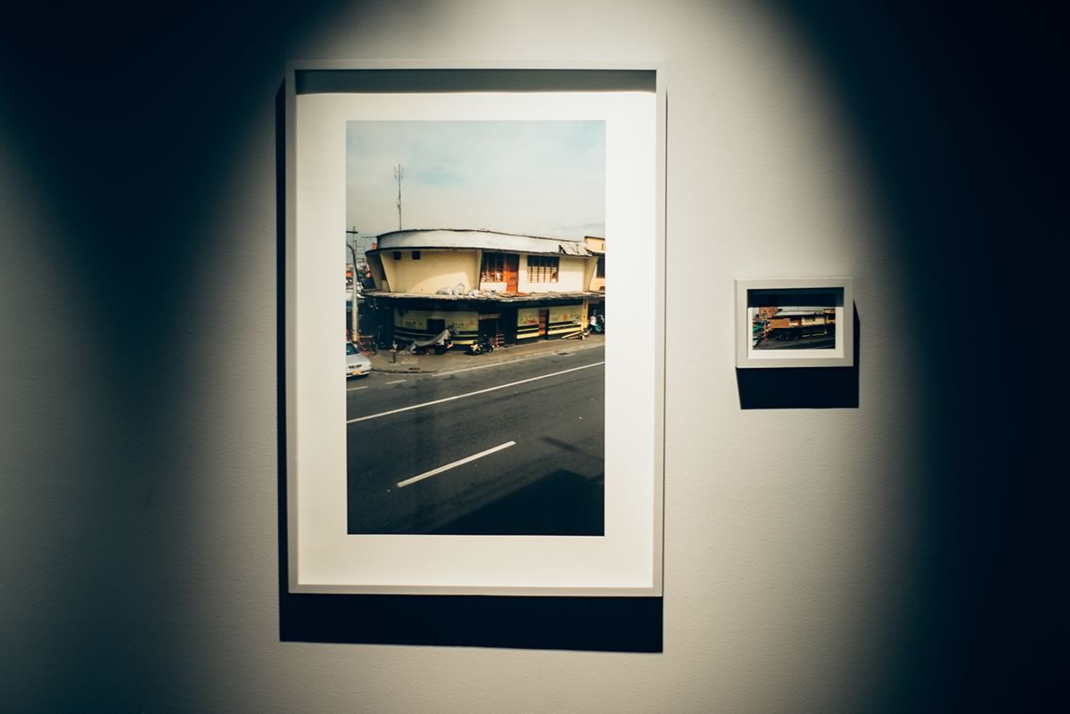 Foto de la exposición: Desarrollo evolutivo