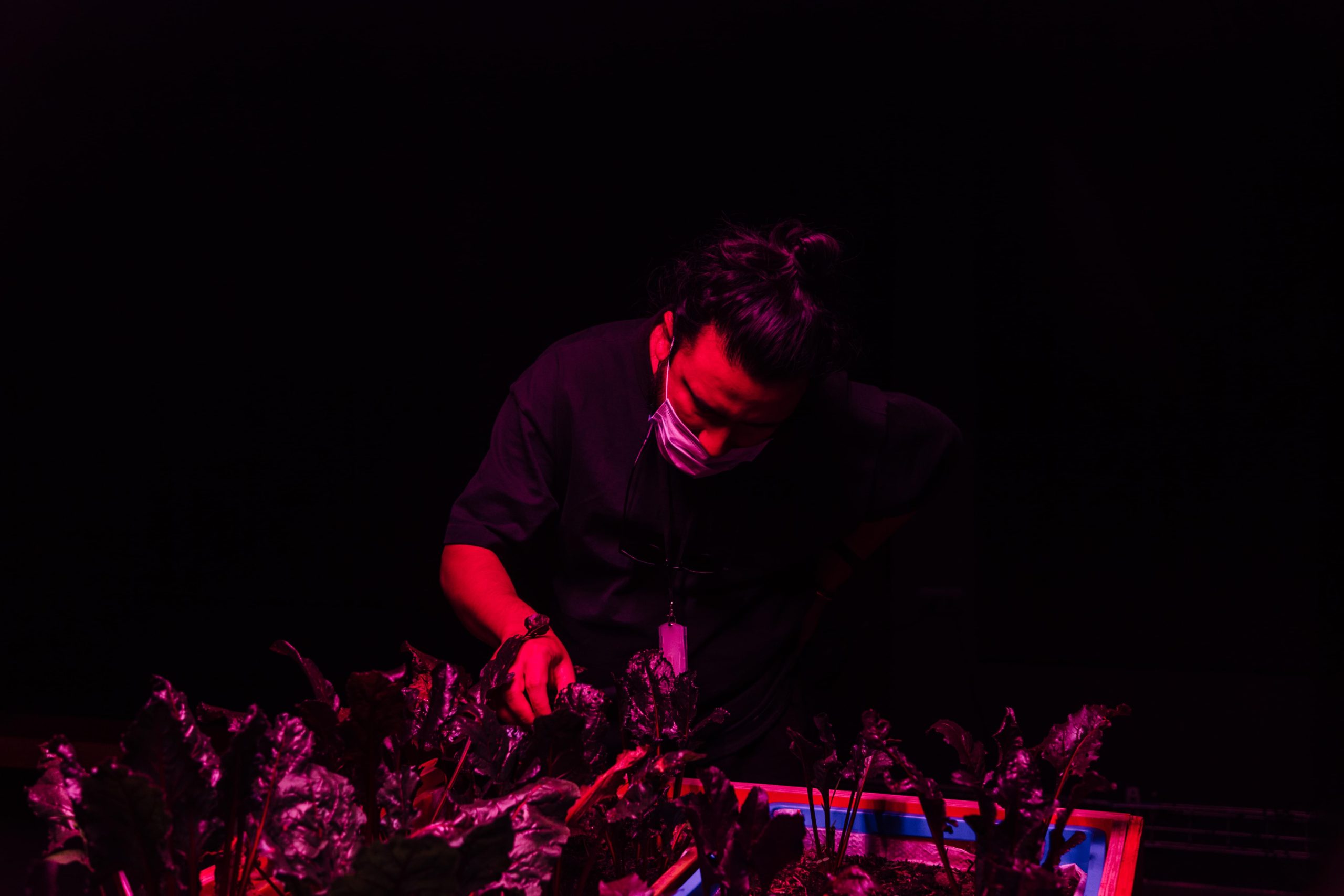 Exposiciones MAMM: hombre detalla la obra Un último día perfecto de David Vélez