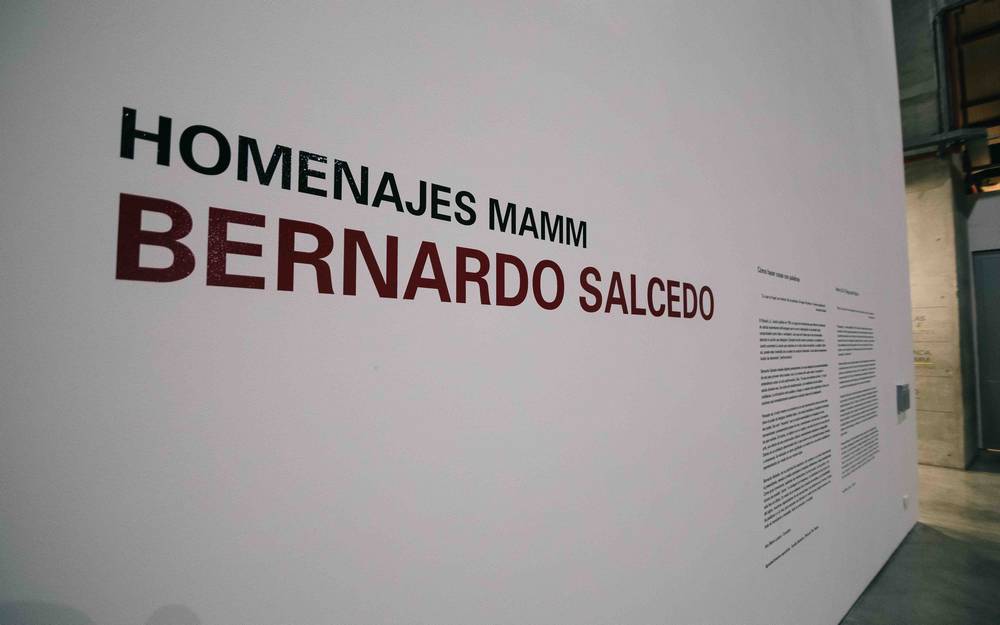 Homenaje a Bernardo Salcedo