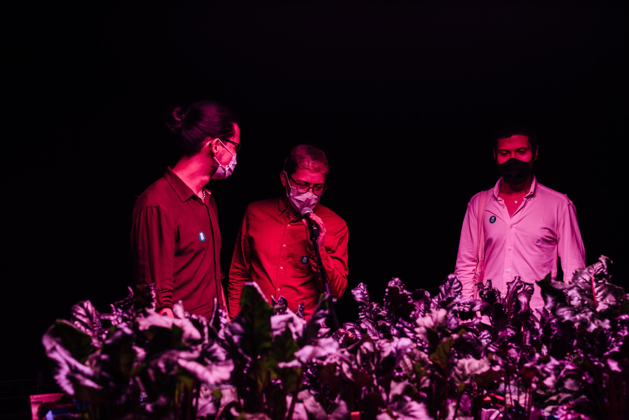 Exposiciones MAMM: inauguración de la obra Un último día perfecto de David Vélez