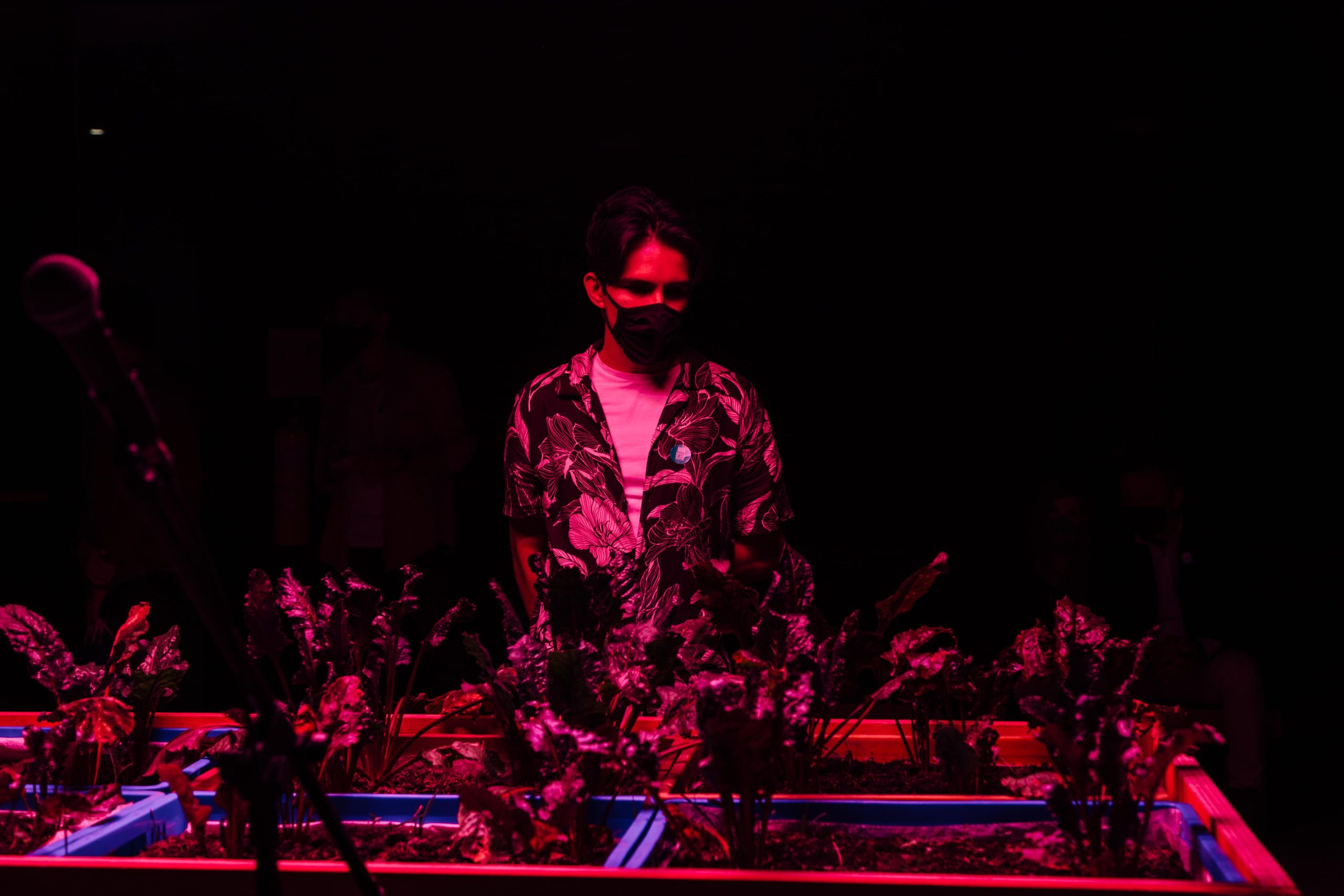 Exposiciones MAMM: joven observa la obra Un último día perfecto de David Vélez