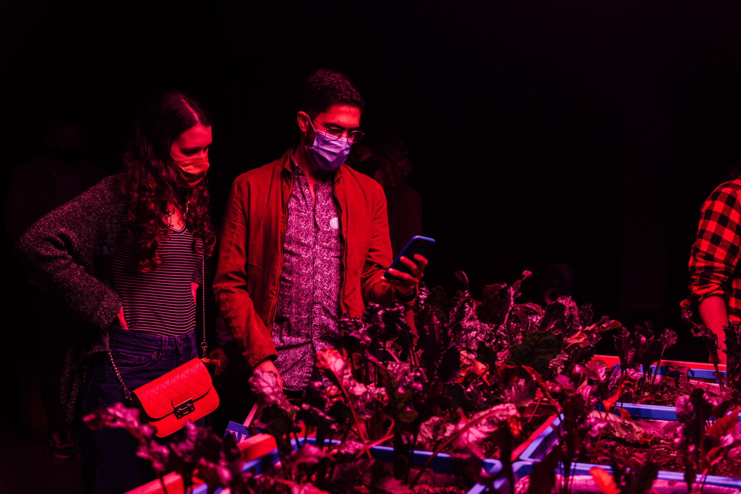 Exposiciones MAMM: jóvenes toman fotos en la obra Un último día perfecto de David Vélez