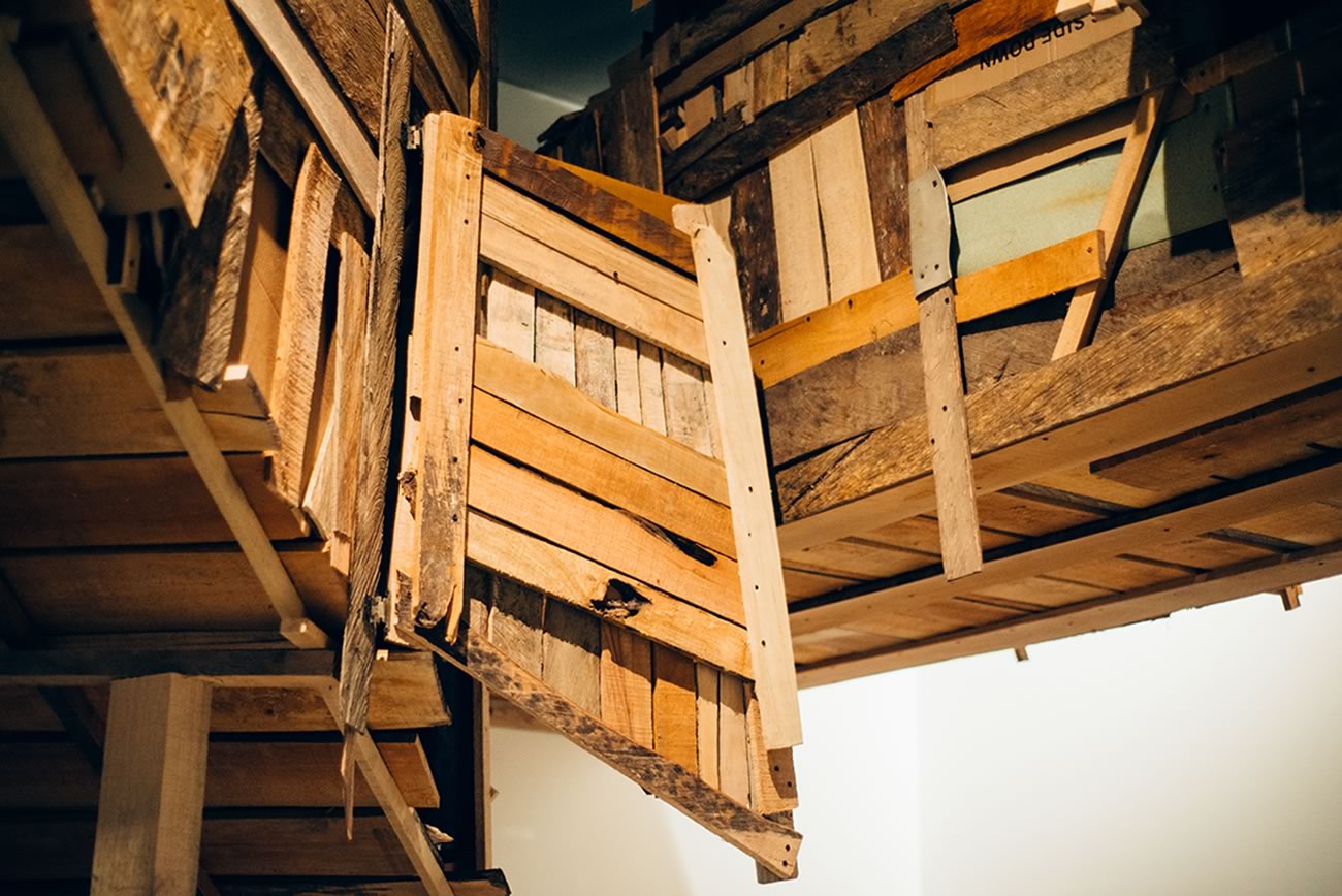 Obra de la exposición Desarrollo evolutivo