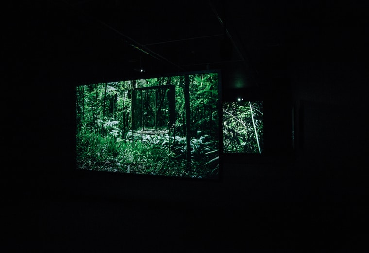 Exposición obra oscura La noche que volvimos a ser gente y Calzadilla