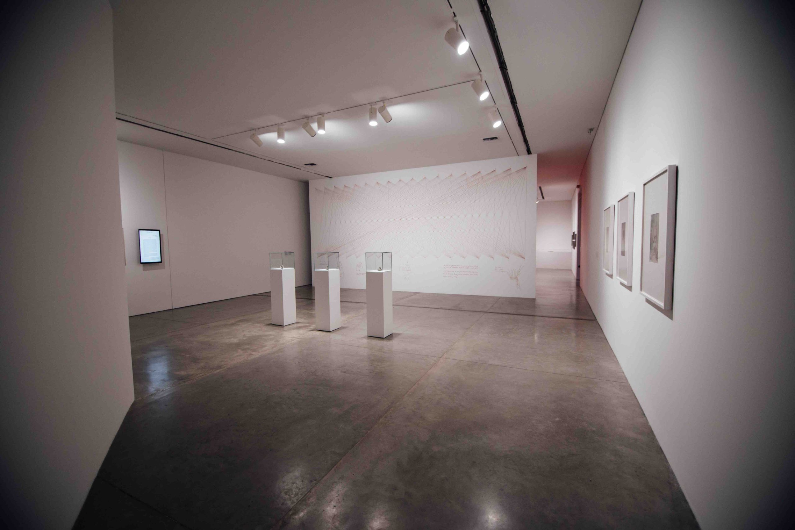 Obras de la exposición en sala del MAMM