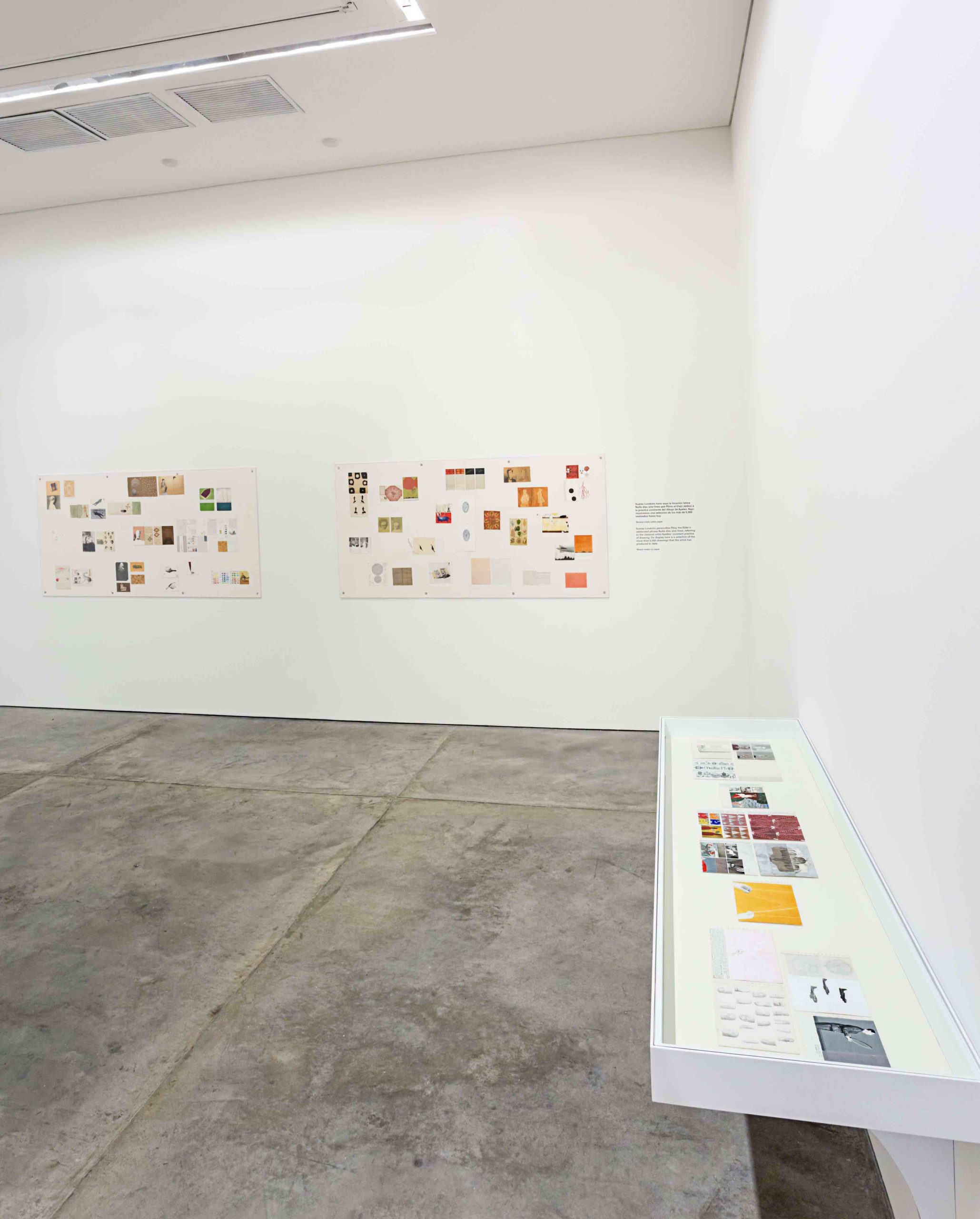 Obras del artista José Antonio Suárez Londoño en el MAMM