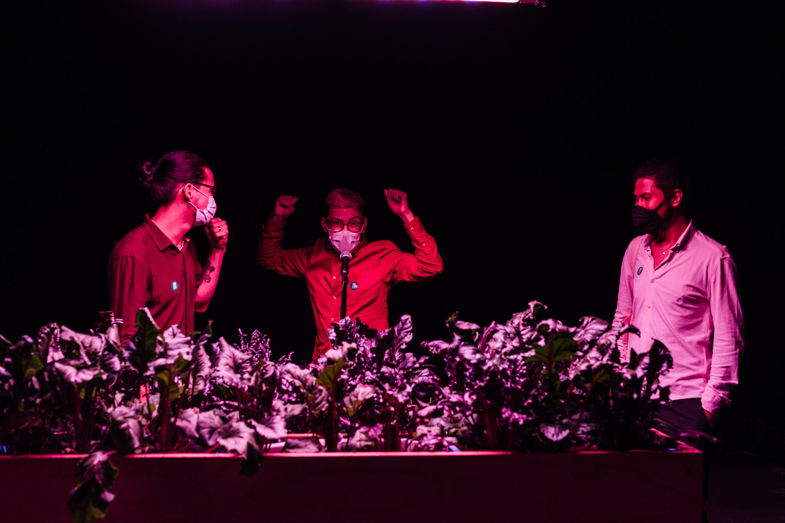 Exposiciones MAMM: palabras de inauguración de la obra Un último día perfecto de David Vélez