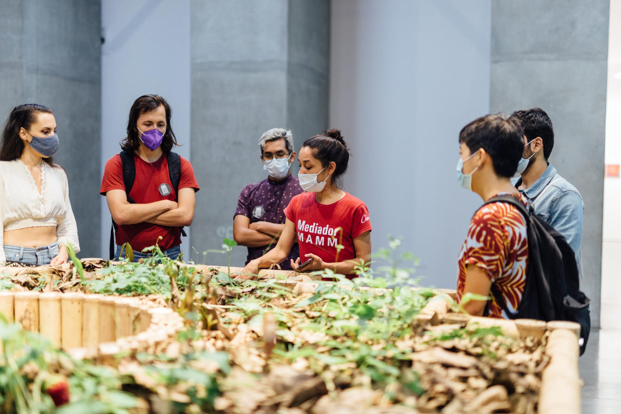 Exposiciones MAMM: visita grupal en El camino mas largo Arte Contemporáneo En Antioquia
