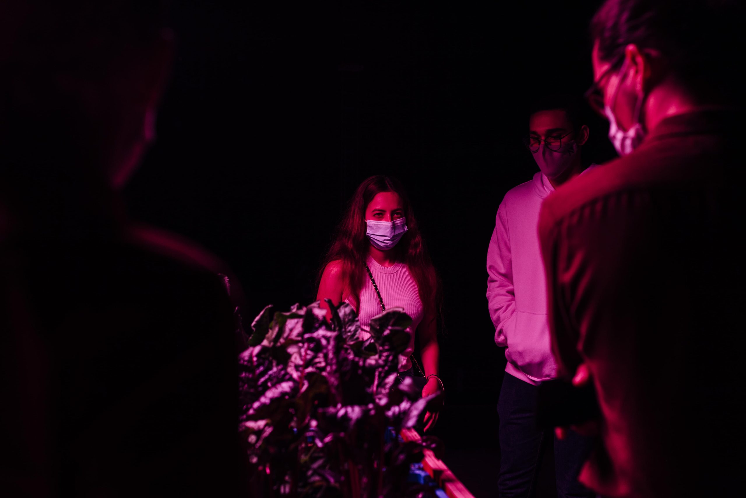 Exposiciones MAMM: visita grupal a la obra un último día perfecto de David Vélez