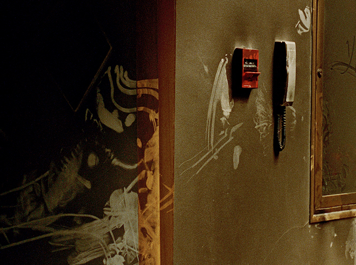 Exposición: La Vuelta. Museo de Arte de Arte Moderno