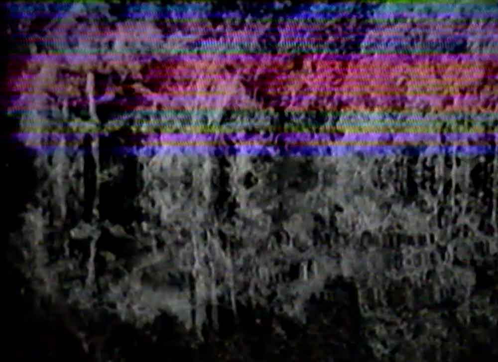 Bienales de arte, Ulrike Ronsembach, Ama-zonas 1987