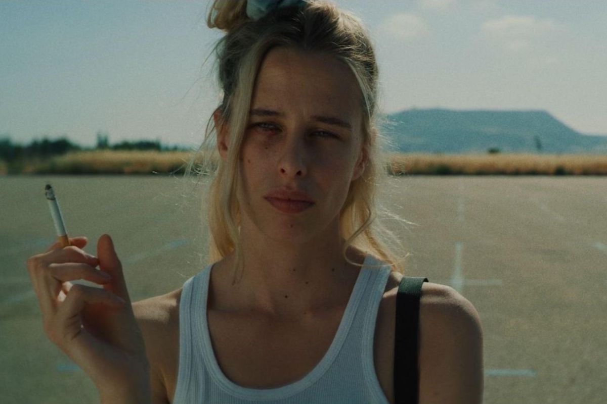 Fotograma libélulas