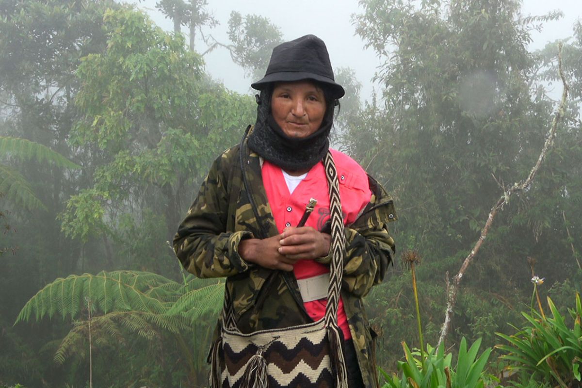 Mujer con la selva de fondo