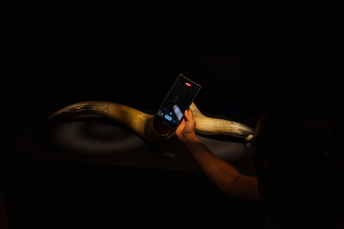 Fotografía de visitantes en la exposición Colectivo Sonoscopia. oCo