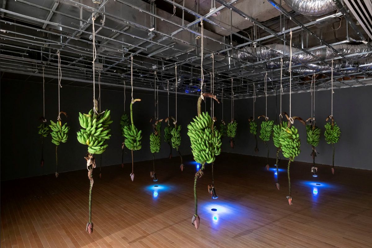 Obra musa paradisíaca de José Alejandro Restrepo