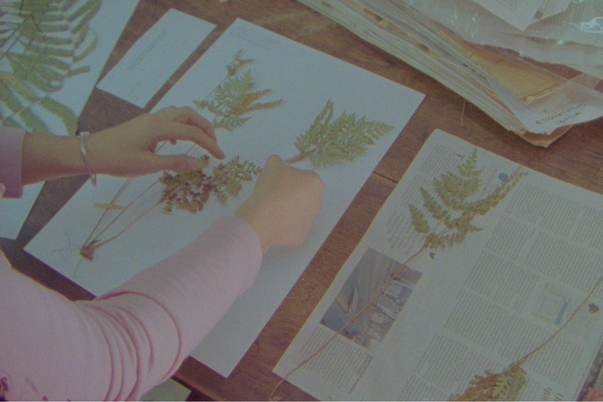 Fotograma de la película Herbaria