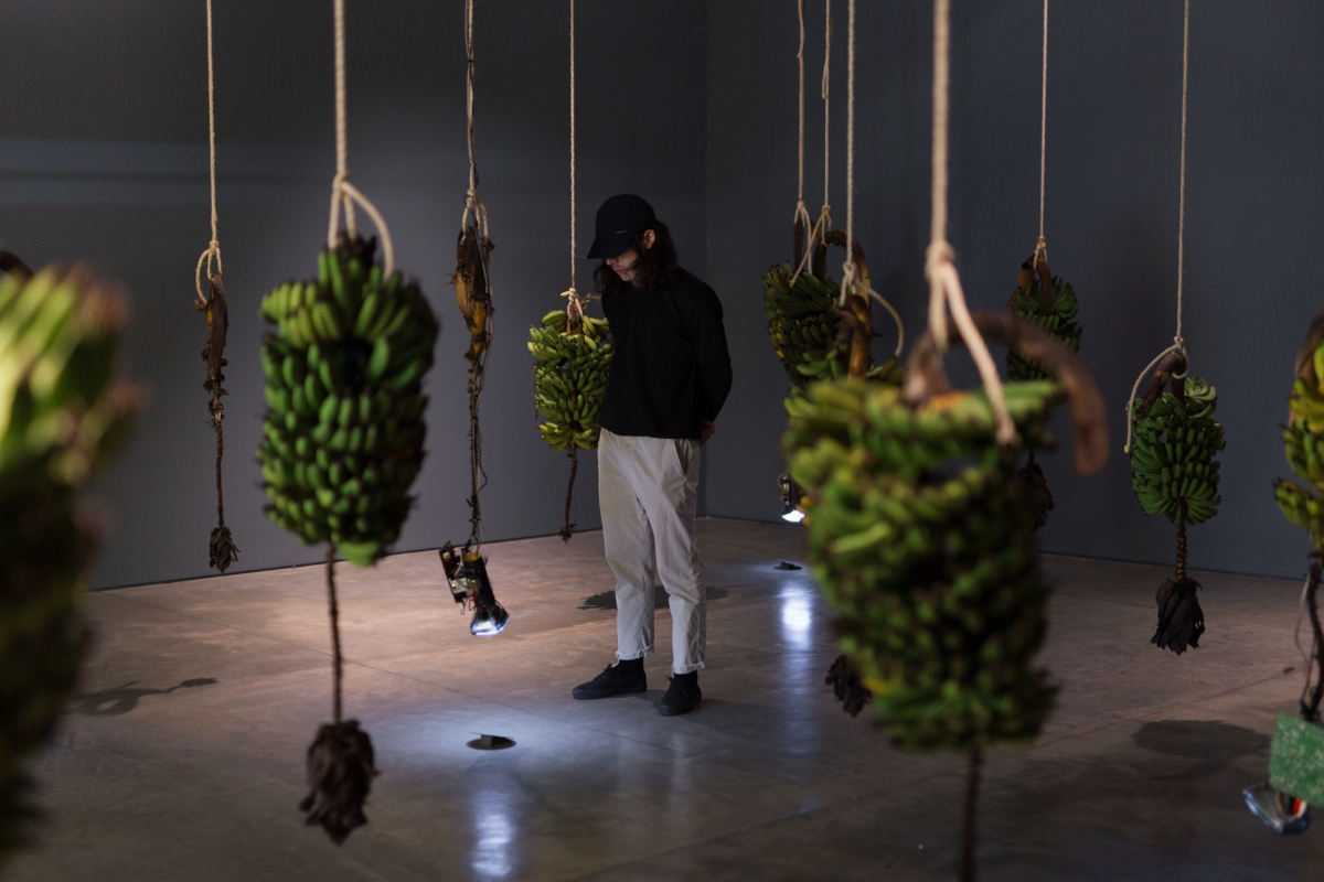 Fotografía de visitante en la exposición La buena vida. Obras de la colección del Banco de la República