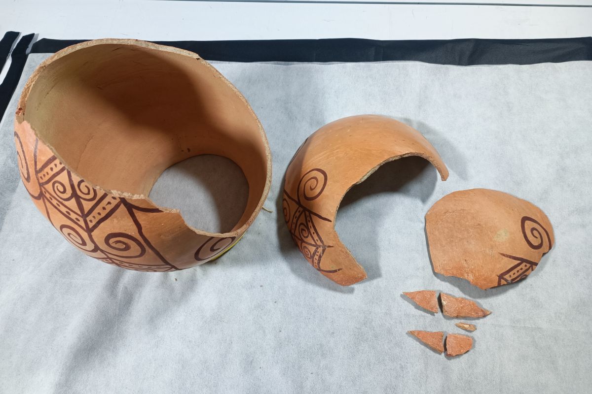 Conservación y restauración MAMM