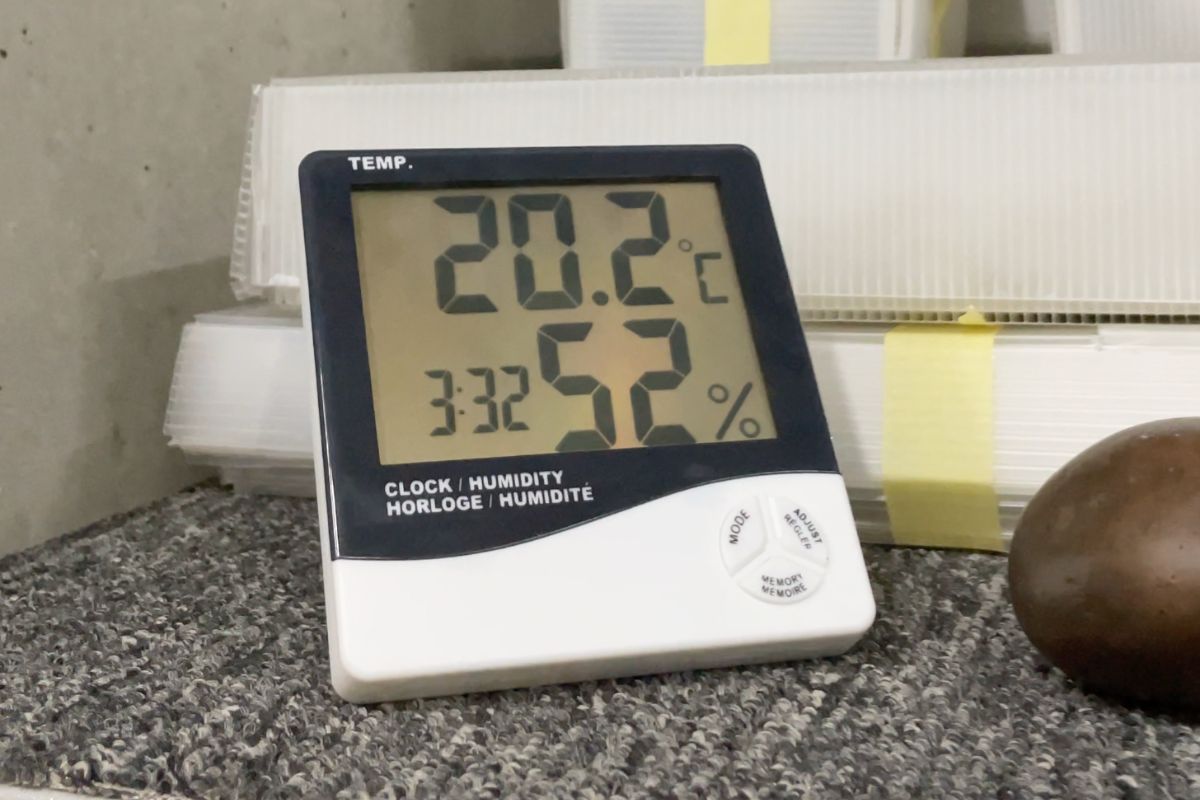 Conservación y restauración MAMM