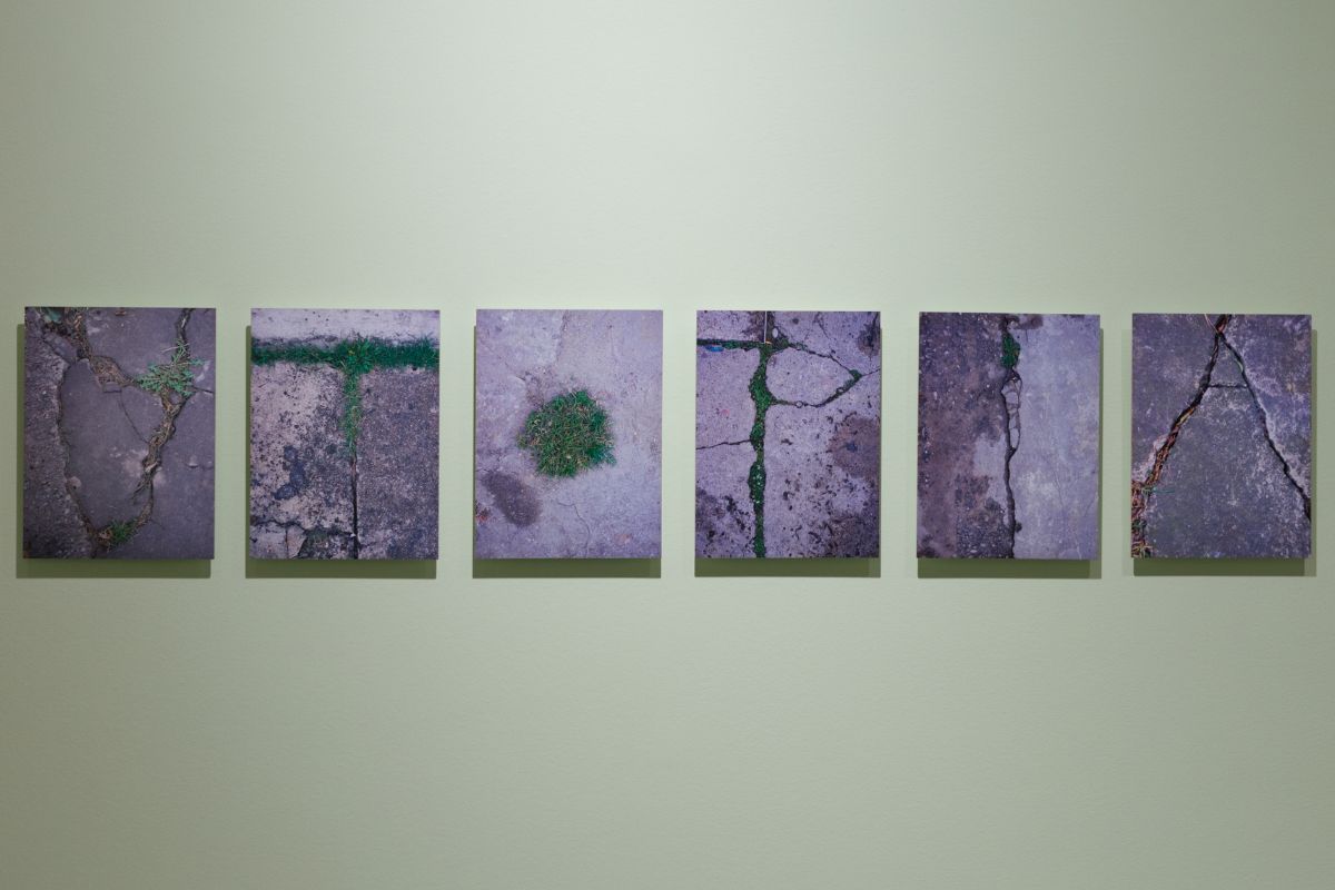 Obra Utopía de Milena Bonilla