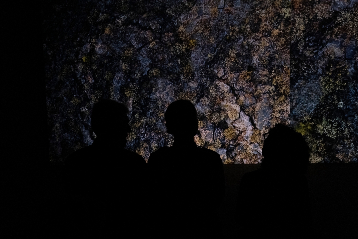 Fotografía de visitantes en la exposición Tania Candiani. Ofrenda