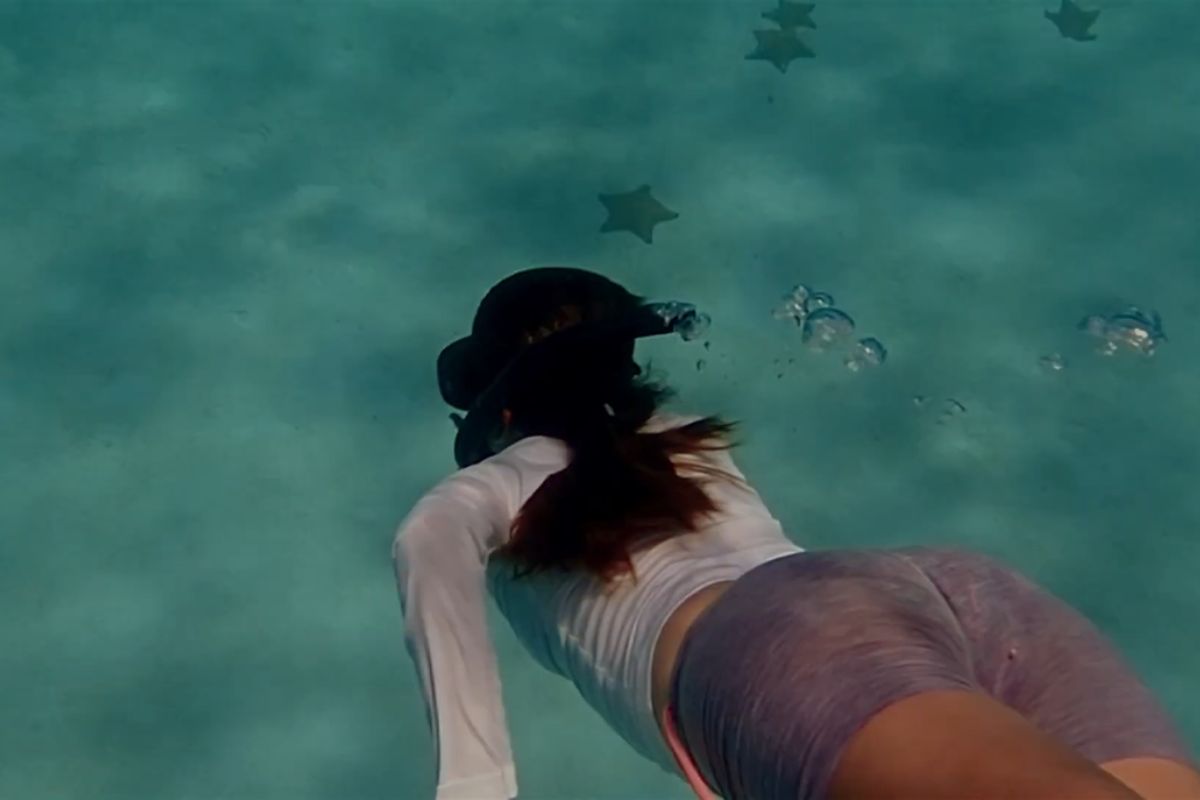 Película Raíces azules