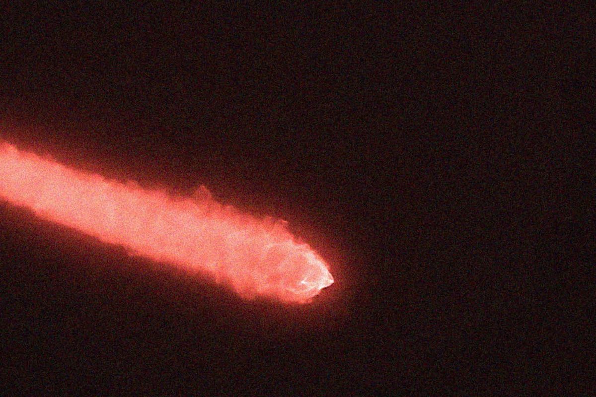 Fotograma de la película El origen de las especies