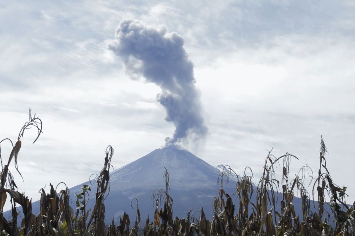 Fotograma de la película Código abierto