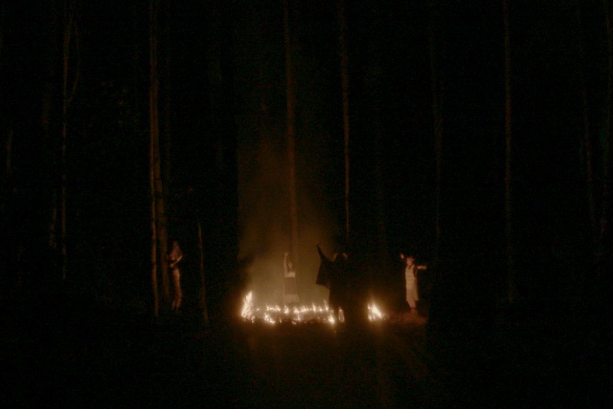 Fotograma de la película El origen de las especies