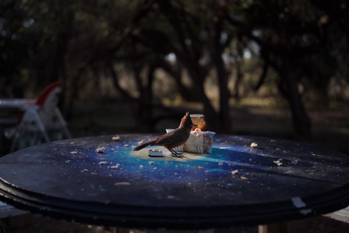 Fotograma de la película Los incrédulos