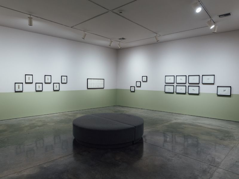 Fotografía de la exposición Nada se puede duplicar realmente