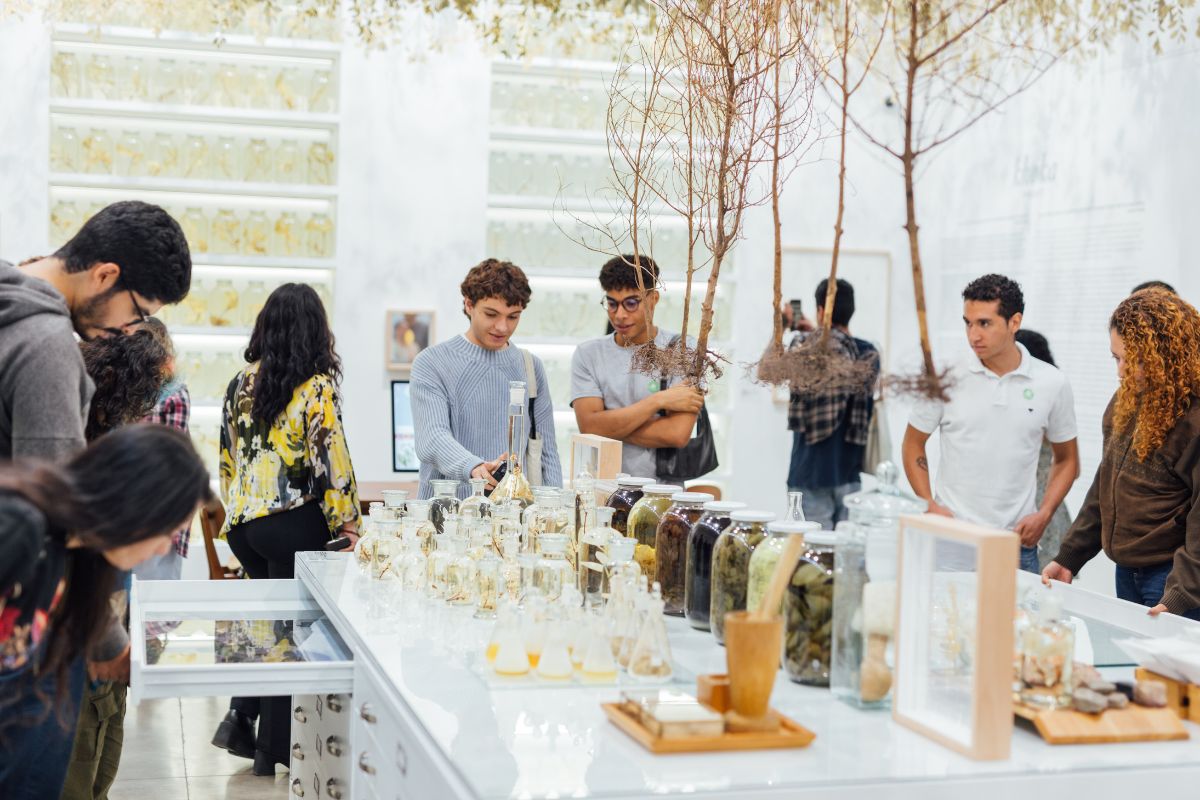 Fotografía de visitantes en la exposición Khoka Project