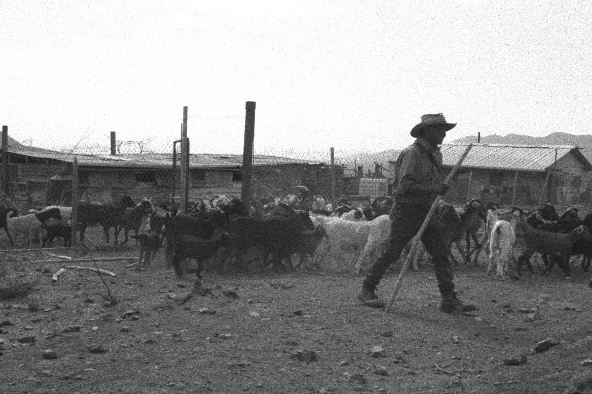 Fotograma de la película Pulsos subterráneos