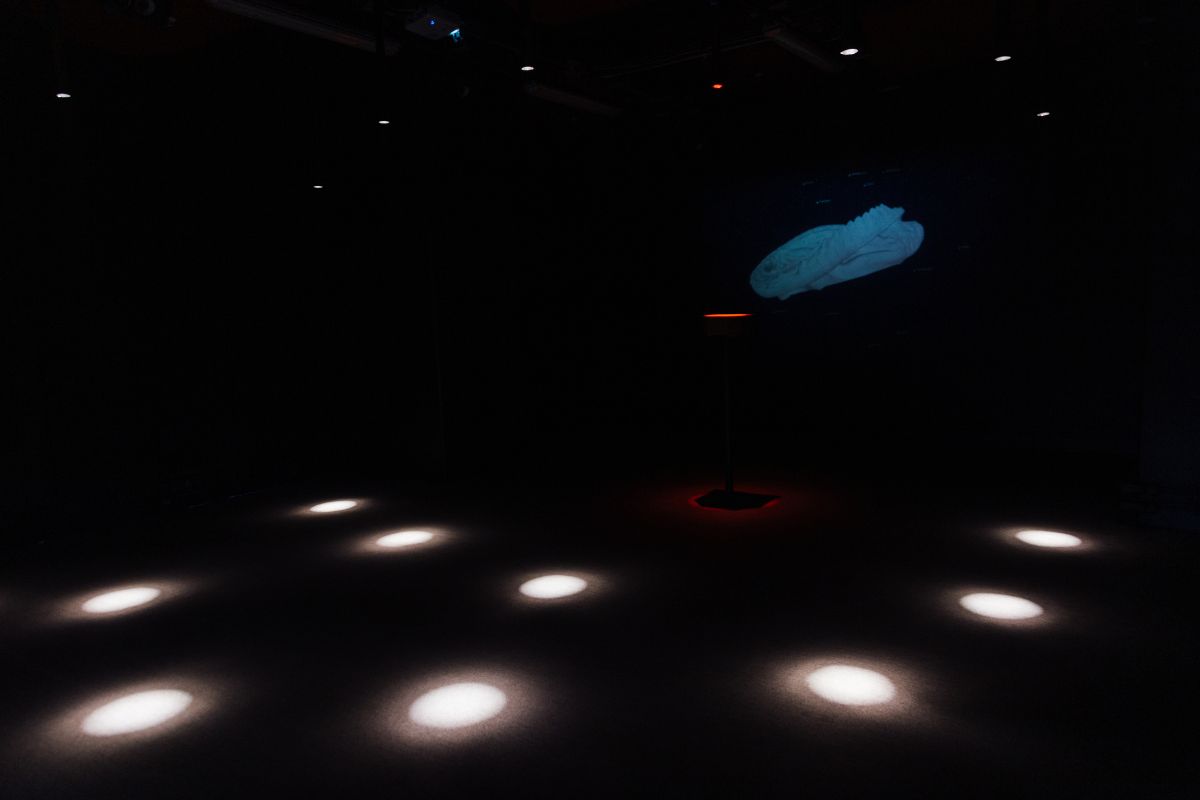 Fotografía de la exposición Umbral de resonancia