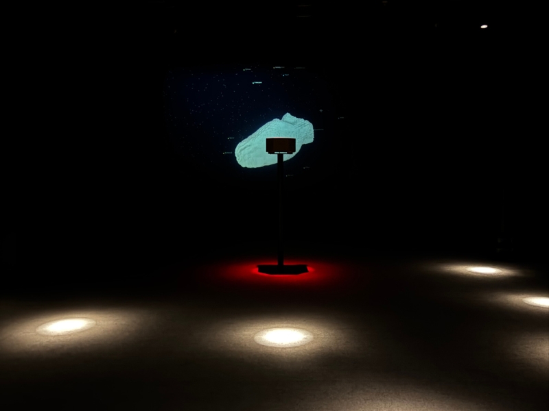 Fotografía de la exposición Umbral de resonancia