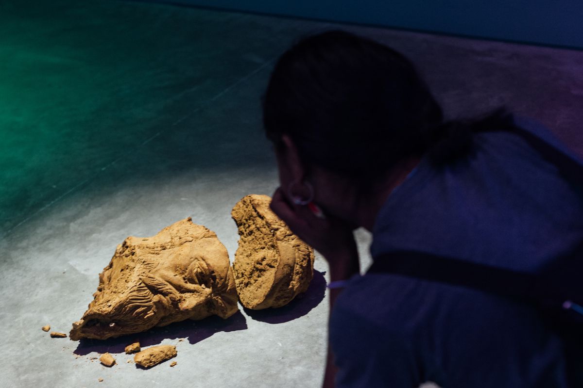 Fotografía de visitante en la exposición Invocando los fantasmas de la modernidad