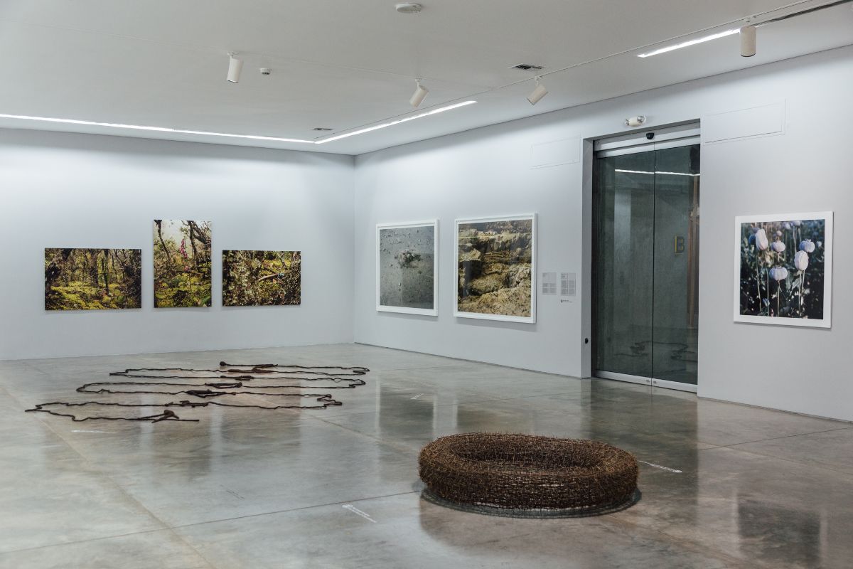 Fotografía del catálogo de la exposición Materialidades y constelaciones de Juan Fernando Herrán