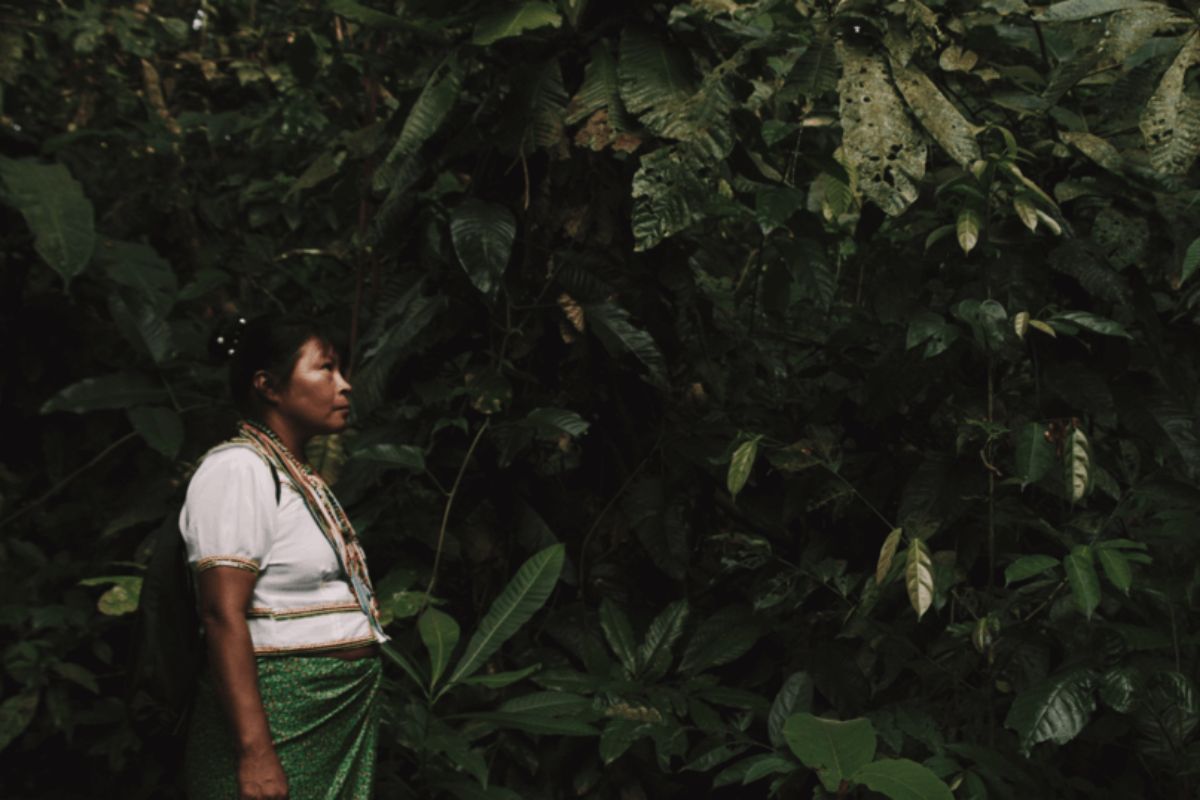 Fotograma de la película Mupa (Madre)