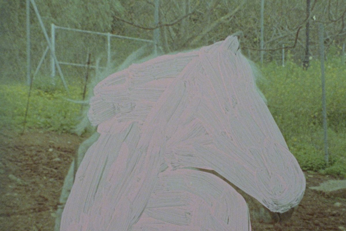 Fotograma de la película Portales