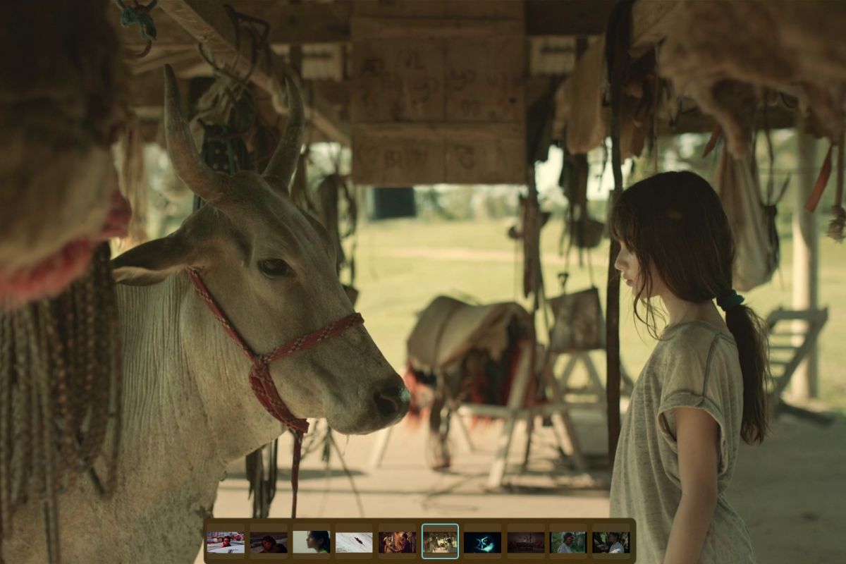 Fotograma de la película Mi madre es una vaca