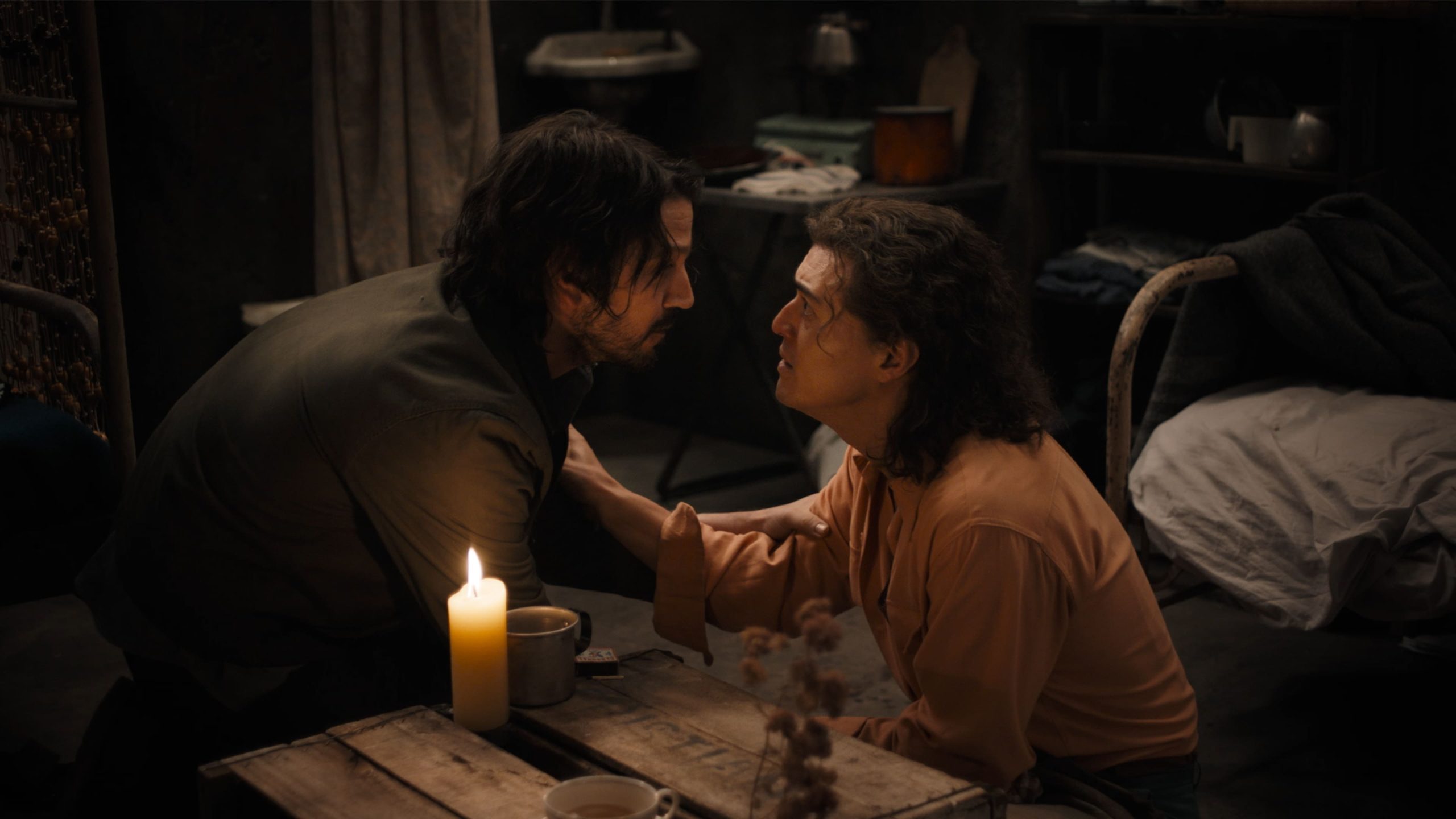 El beso de la mujer araña