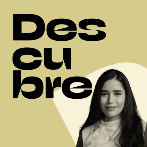 Imagen Amigo MAMM descubre