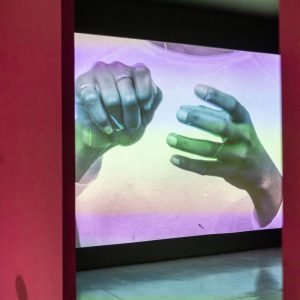 Fotografía de la exposición La luz, el fuego y la ceniza