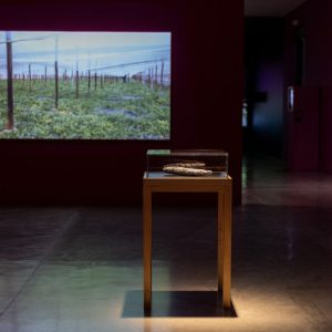 Fotografía de la exposición La luz, el fuego y la ceniza