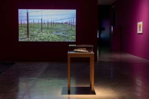 Fotografía de la exposición La luz, el fuego y la ceniza