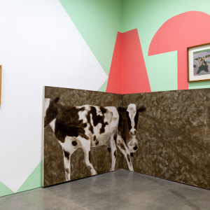 Fotografía de la Escuela Feminista de Pintura